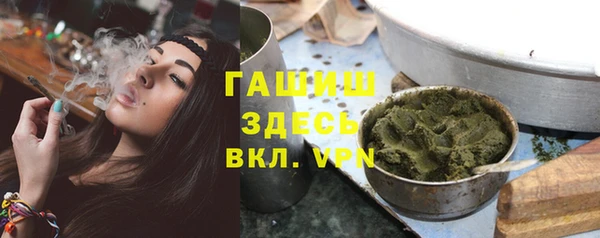 гидра Горно-Алтайск