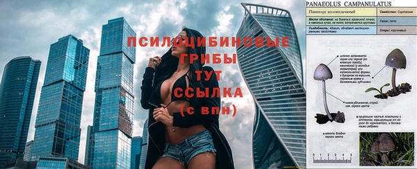 mix Горняк