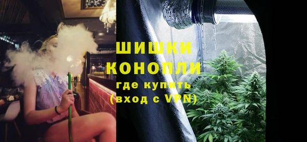 гидра Горно-Алтайск