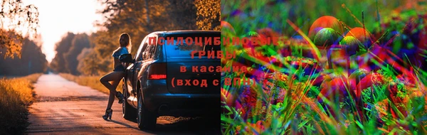 mix Горняк