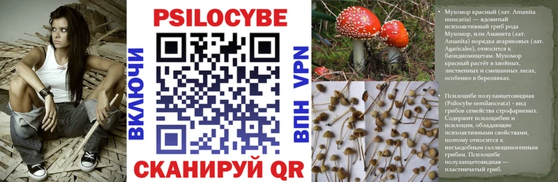 Галлюциногенные грибы Magic Shrooms  наркота  Владикавказ 